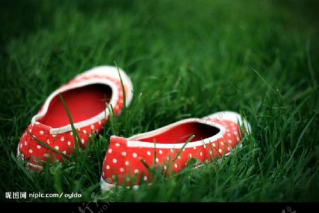 绿草中的小花鞋图片