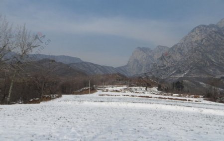 少室山冬季风光图片