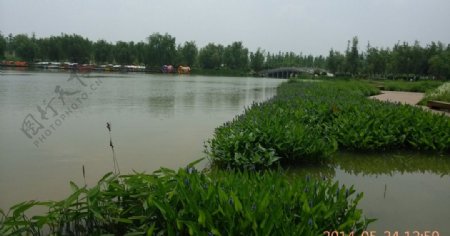 大明宫湖边美景图片