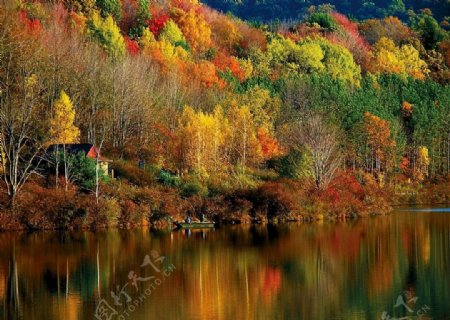 秋天河岸图片