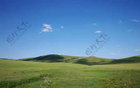 草原景观图片