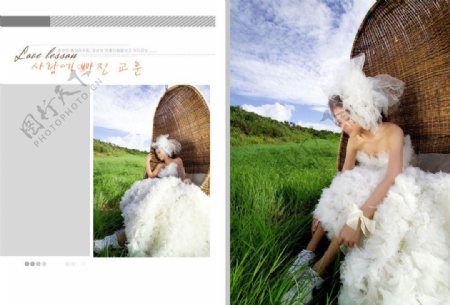 绿草竹椅韩国婚纱psd模板图片