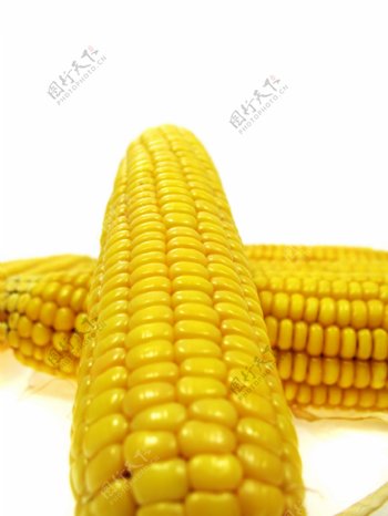 玉米拍片