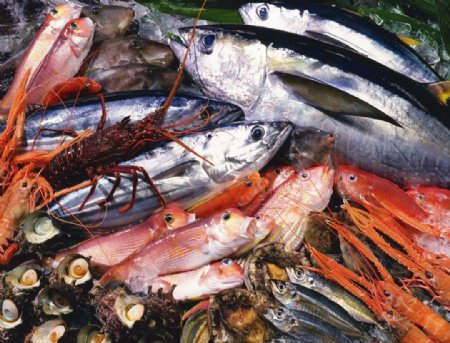 海鲜鱼类大杂烩图片