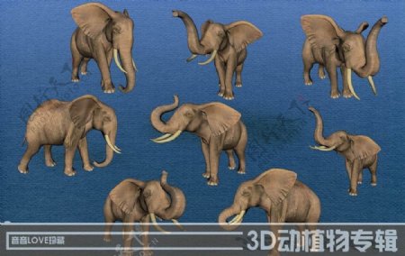 高清3D大象图片