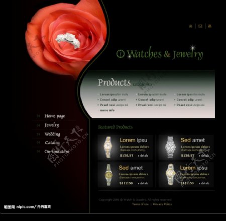 精美的欧美珠宝网页设计模板六图片
