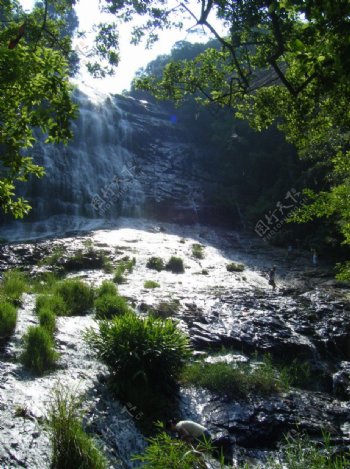 红豆林瀑布图片