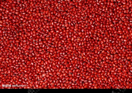 红豆材料纹理图片