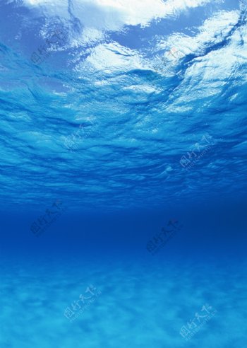 海洋水底拍片