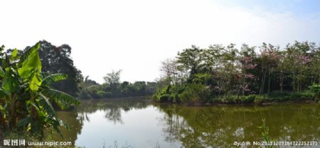 池塘风景图片