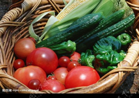 蔬菜集锦图片