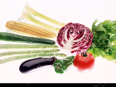 蔬菜1图片