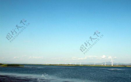 野鹅湖风景图片