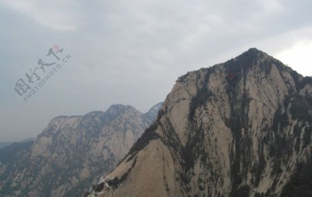 华山树木山水图片