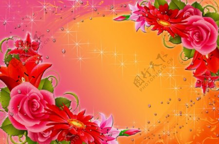 美丽花卉相框背景图片