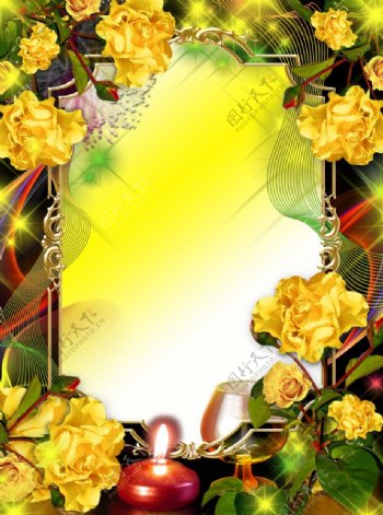 美丽花卉背景相框图片