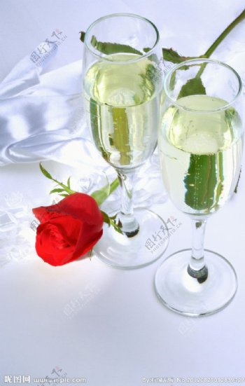香槟玫瑰图片