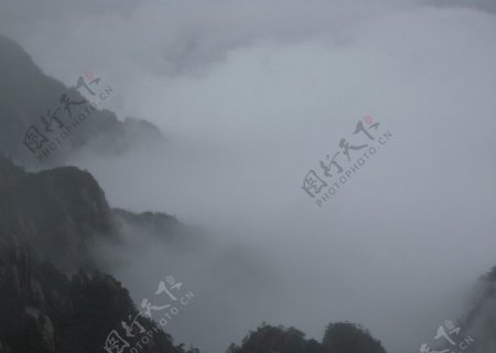 雾中黄山图片