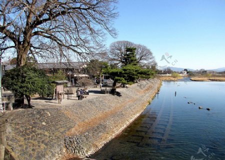京都绝景图片