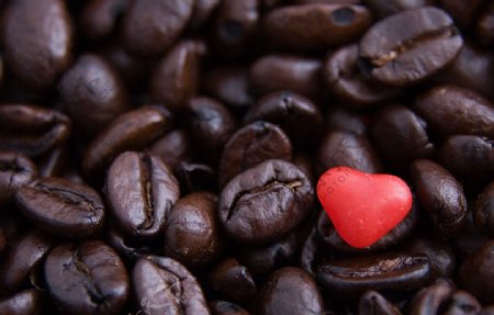 咖啡豆和红心图片