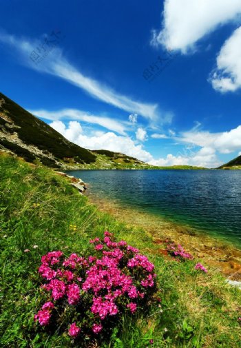 蓝天白云山脉湖水鲜花图片