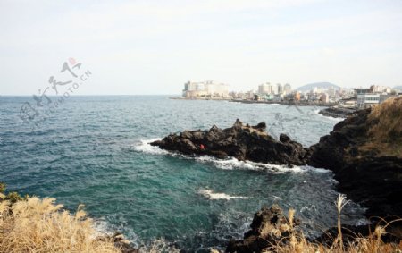 济州岛的龙头岩图片