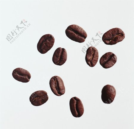 单粒咖啡豆高清摄影图片