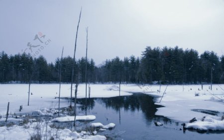 冬天的湖面图片