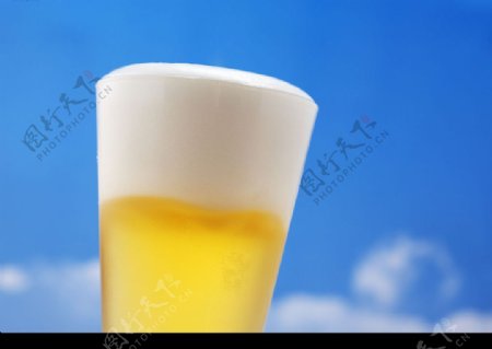啤酒饮料图片
