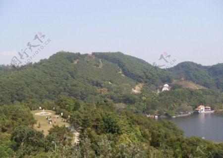 仙湖植物园风景图片