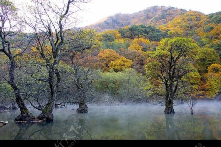 秋水山景图片