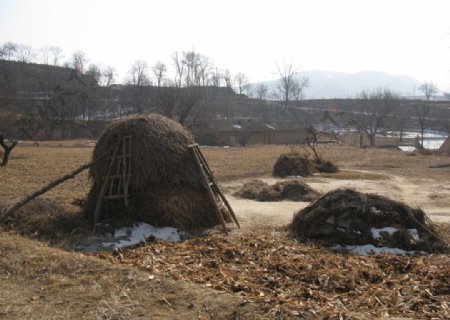 甘肃庆阳蒲河风光图片