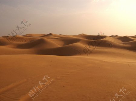 迷人沙漠图片