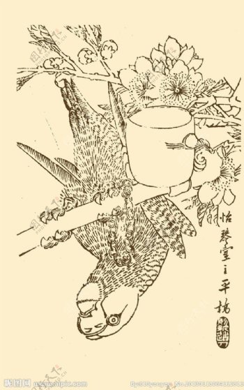 芥子园画谱鹦鹉图片