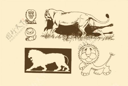动物图案狮子图片