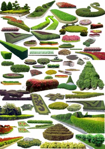 绿化植被图片