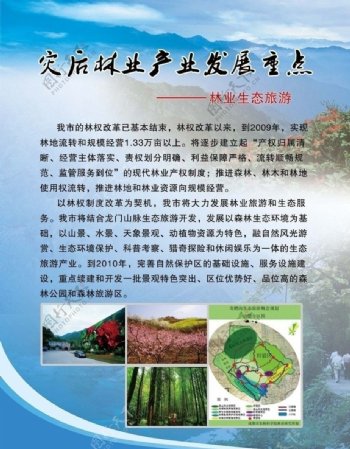 彭州林业发展重点图片