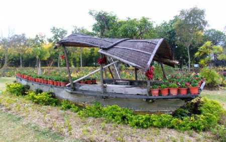 香草世界小木船图片