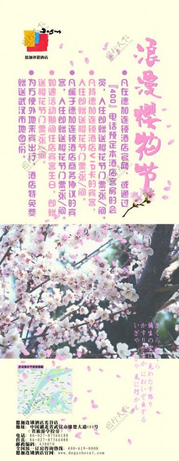 浪漫樱花节图片