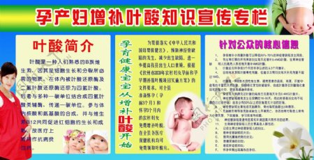 孕产妇增补叶酸知识宣传栏图片