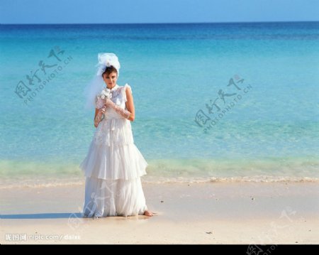 海滩新娘图片