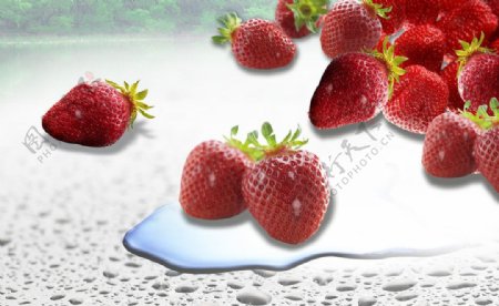 水灵灵的草莓图片
