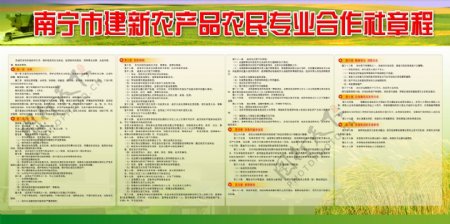 南宁市建新农产品农民专业合作社章程图片