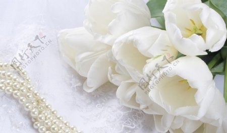 白色花朵项链组合图片