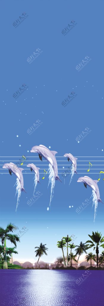 海豚飞空图片