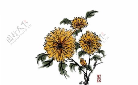 鲜花花朵水墨画图片