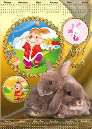 2011兔年年历图片