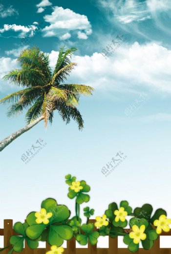 白云椰子树图片