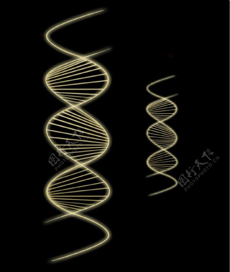 DNA维生素人体代码图片