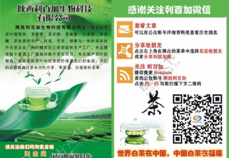 福鼎白茶宣传广告图片